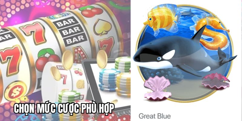 Người chơi nên lựa chọn mức cược trong game phù hợp với ngân sách